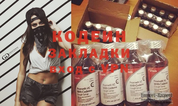 сатива Кинешма