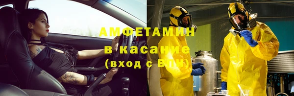 сатива Кинешма