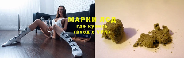 сатива Кинешма