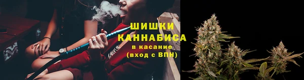 сатива Кинешма