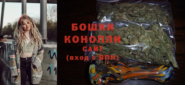 сатива Кинешма