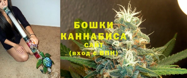 PSILOCYBIN Козельск