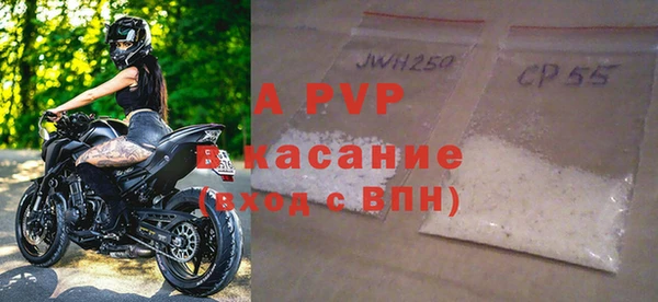 сатива Кинешма