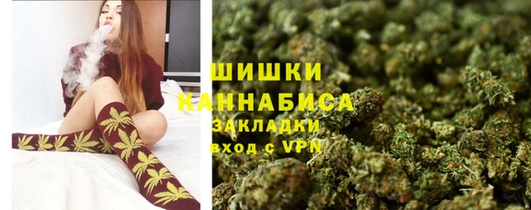 PSILOCYBIN Козельск